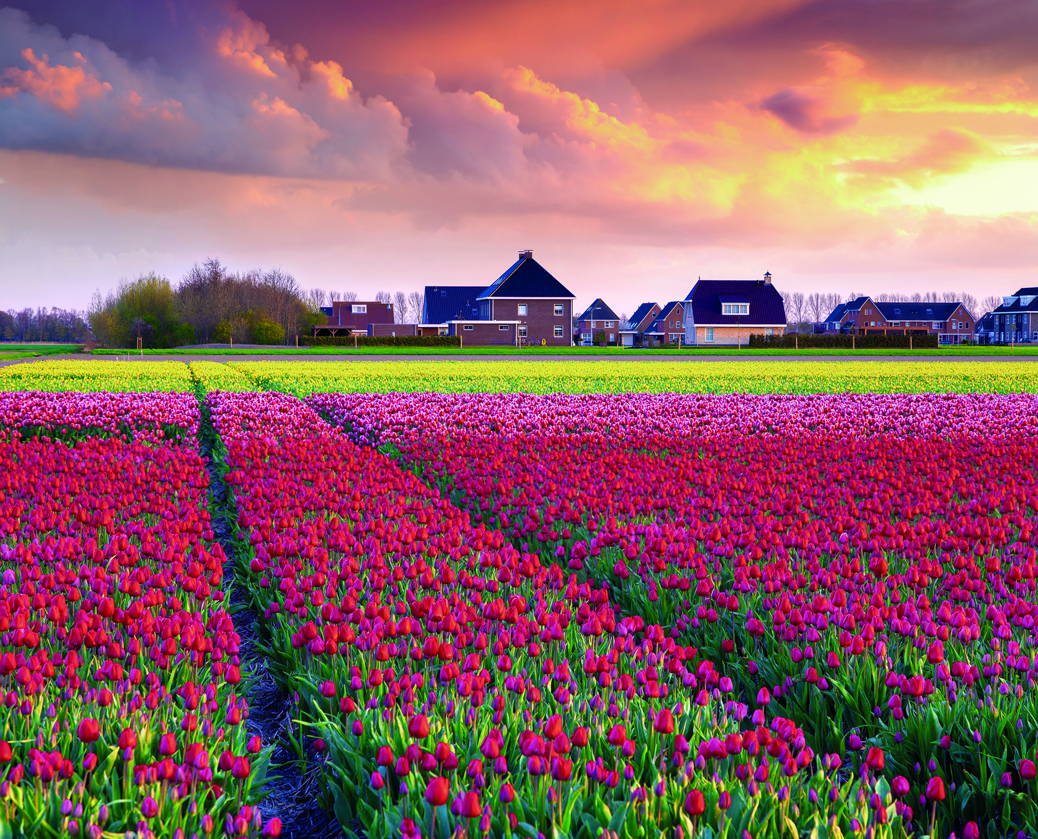 Wonen in het groen: méér dan een trend een bewuste keuze voor levenskwaliteit.