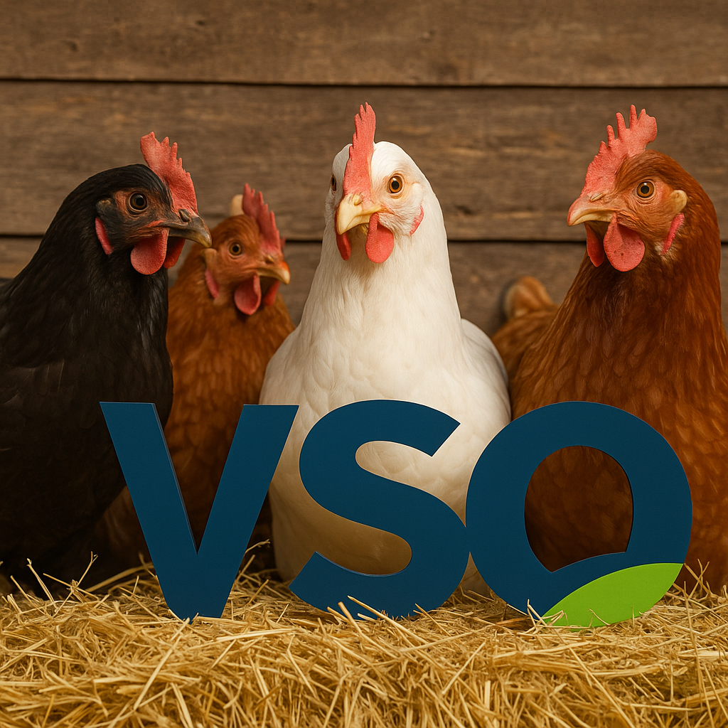 is een kippenschuur het gaat over het verkopen van een pluimveebedrijf van het verkopen van een boerderij tot taxeren