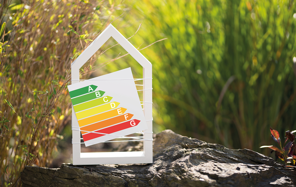 Wonen in het groen: méér dan een trend een bewuste keuze voor levenskwaliteit.